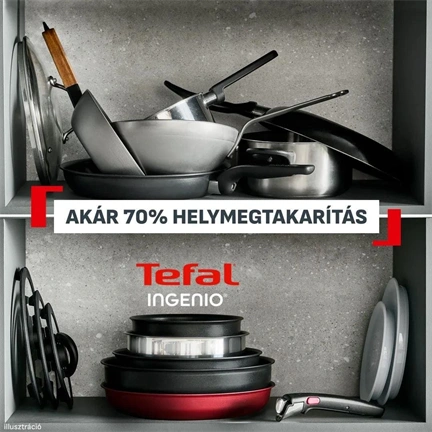 Tefal P0029053 INGENIO Expertise 12 db-os szett